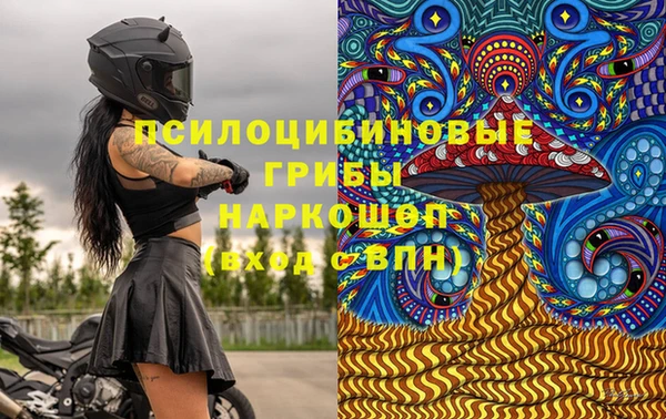 прущие крисы Армянск