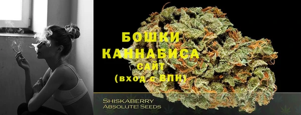 прущие крисы Аркадак