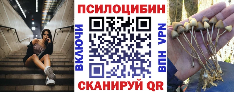 купить  сайты  Волхов  KRAKEN рабочий сайт  Галлюциногенные грибы Psilocybine cubensis 