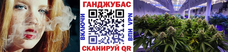 Марихуана сатива  Волхов 